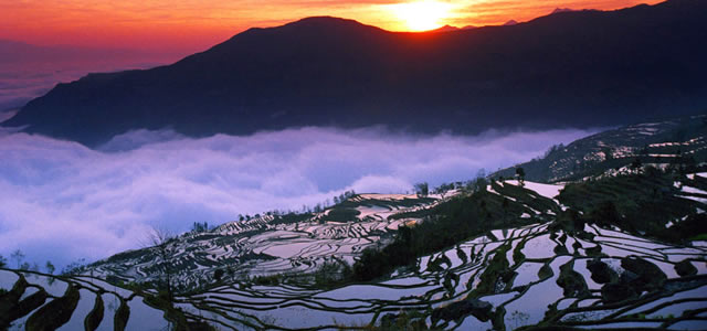 Honghe Hani Rice Terraces